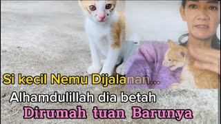 Kucing Kecil Nemu Dijalan || Antar Anak Kucing Ke Kebun (adopter )⁉️