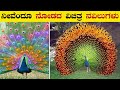      top 10 most beautiful peacocks in the world  vismayavani