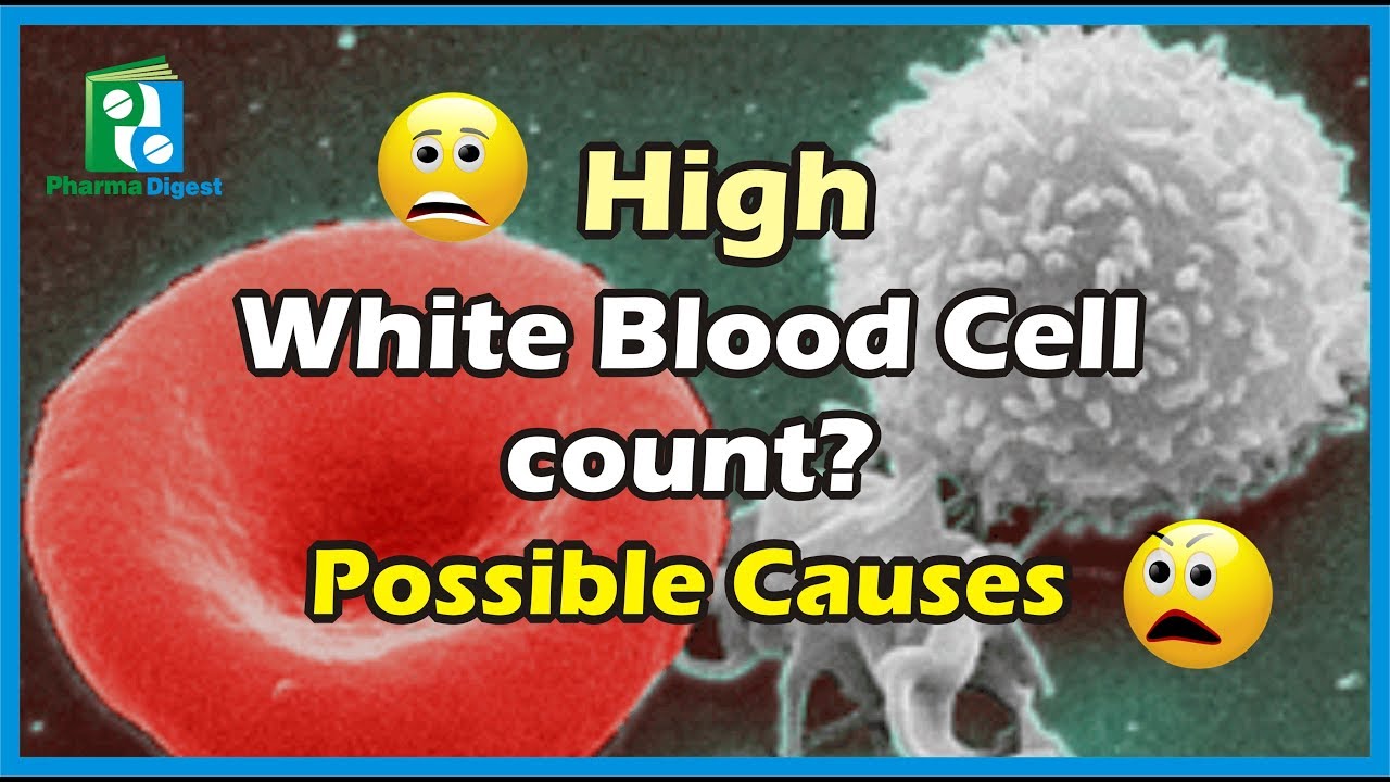 causes of high white blood cell