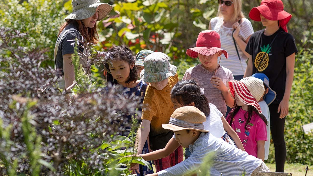 Klorane Botanical Foundation's "Herbarium On Stage" in action at the Royal Botanic Gardens, Sydney.