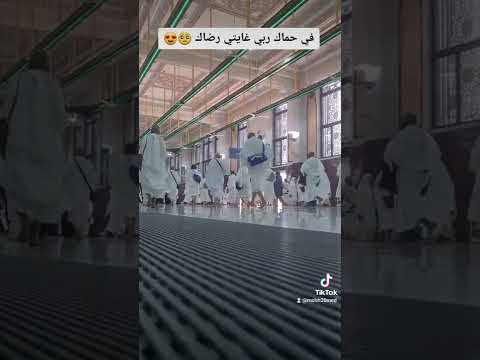 في حماك ربي غايتي رضاك دعاء Viral Shorts Video Masjidalharam Makkah Short 
