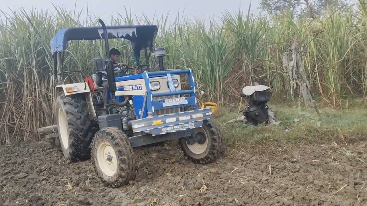 बरसीम की बुआई की तैयारी