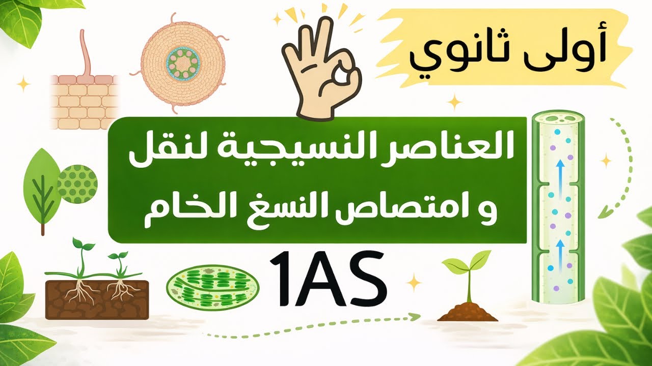 العناصر النسيجية لنقل  النسغ الخام/أولى ثانوي😎فهم مختصر و مضمون💯💯