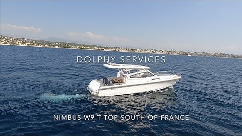 NIMBUS W9 T TOP MAY 2023 NEW AVAILABLE NOW