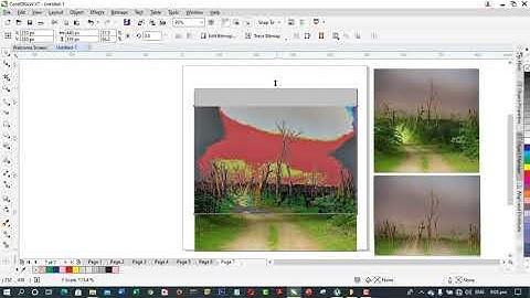 HOW TO MERGE/BLEND 2 IMAGES AS ONE IN CORELDRAW