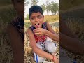 Masti time in village