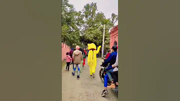 Teddybear Funn Y O Medy Mrcrazy Teddy Teddyb Earparccomedy Funnyte Ddy 2025 