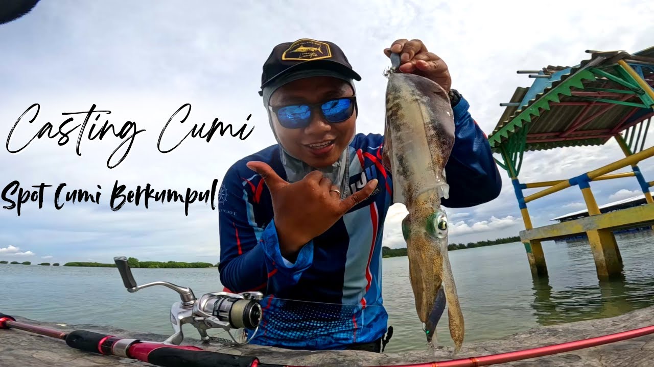 SPOT CUMI BERKUMPUL !!! Umpan Turun Langsung Di Sambar❗️❗️❗️