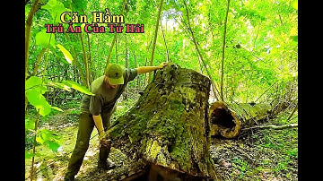Sinh Tồn Trong Rừng Nhiệt Đới - Biến Gốc Cây Đổ Thành Căn Nhà Giữa Rừng