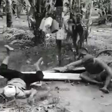 Status wa lucu(gokil)😁