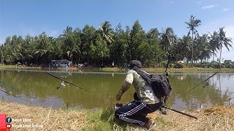 CÂU CÁ TRA GIẢI HỒ TRÀ VINH CỦA VT THUẬN