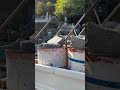 大分で墓じまい海洋散骨　自然に還す