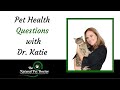 Dog and Cat Health Questions - What are the best fruits and veggies for my pet?