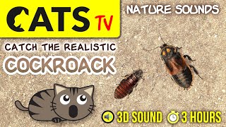 GAME FOR CATS - Realistic cockroach bug [CATS TV] 3 HOURS screenshot 5