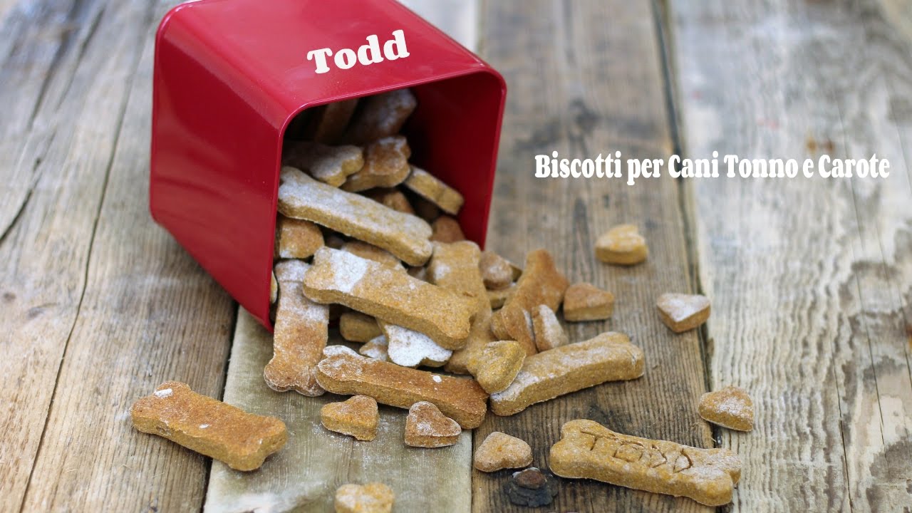 Biscotti per cani tonno e carote
