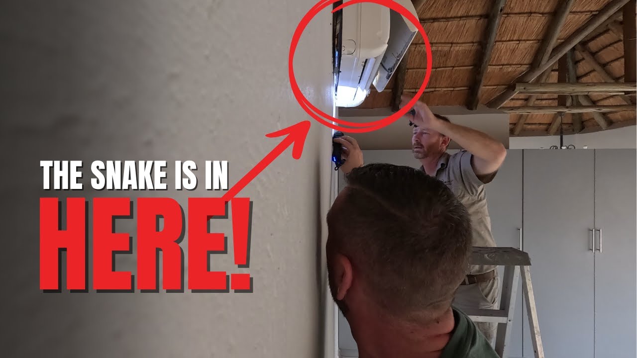 We Drove an Hour to catch THIS Snake… But What Is It?