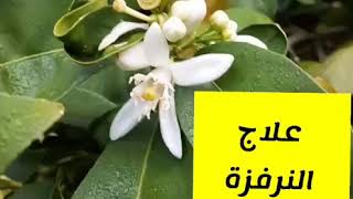 علاج النرفزة والعصبية #صحتك_تهمنا