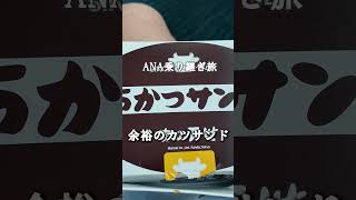 【ANA乗り継ぎ旅】伊丹→羽田→函館へ!あえて乗り継いで行ってみた