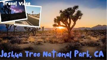 Desert Dreams: Exploring Joshua Tree National Park l Travel Video