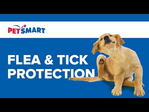 petsmart flea and tick medication