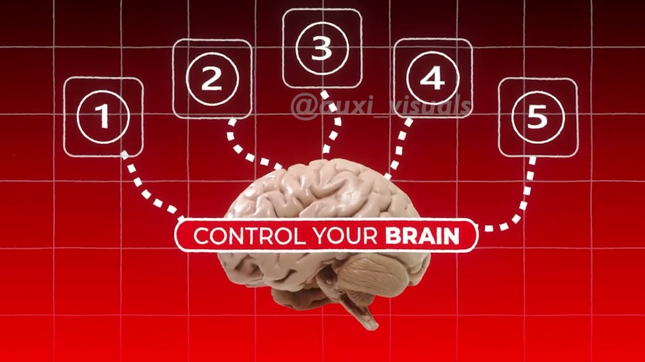Brain