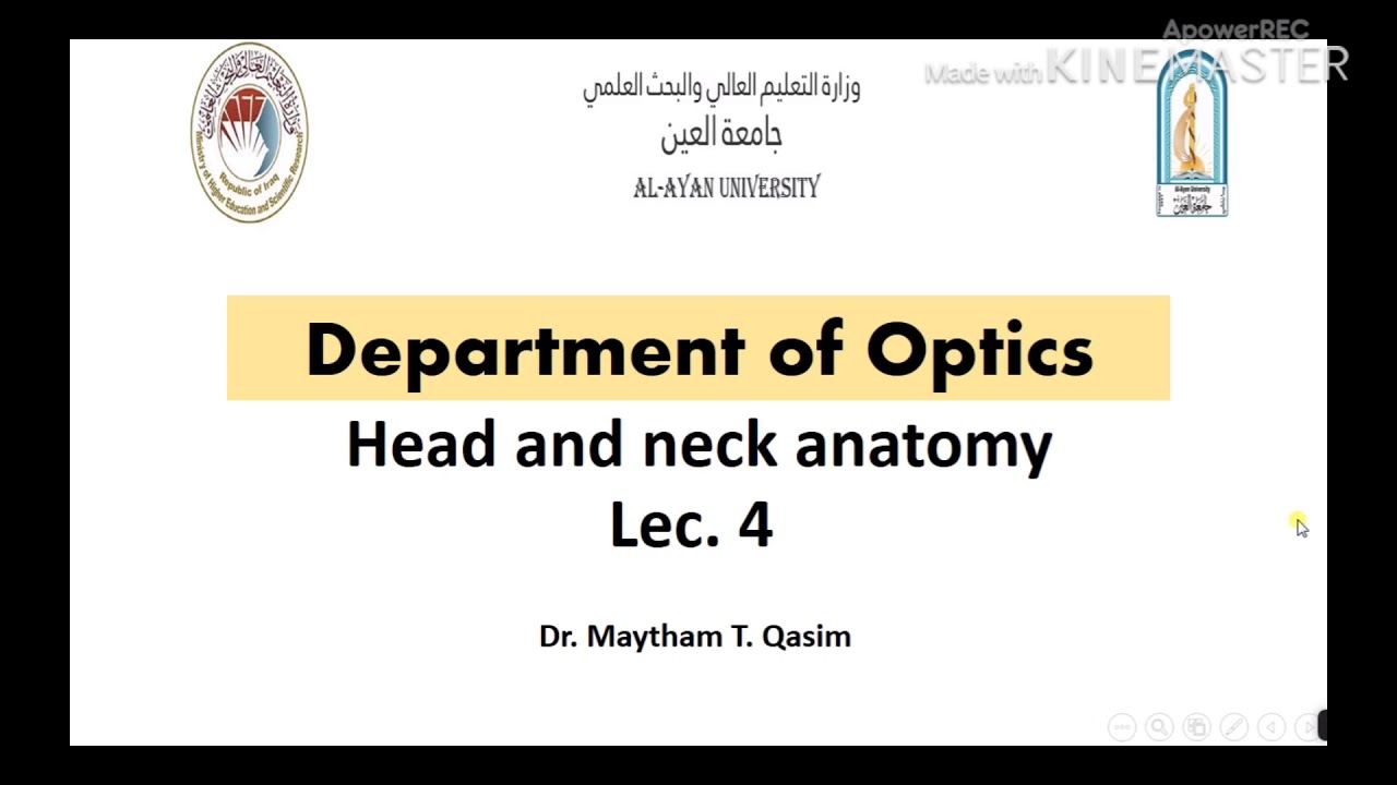 محاضرة 4 تشريح الرأس والعنق والعين، قسم البصريات