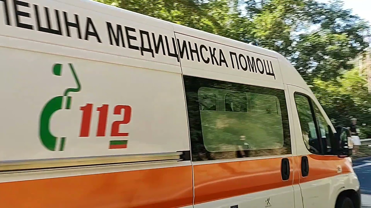 Лад птп ростов