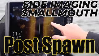 Humminbird Mega Side Imaging Targeting Post-Spawn Smallmouth