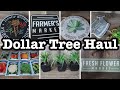 NEW Dollar Tree Haul | Lots of NEW fun Summer Decor