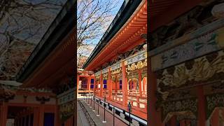 Download Lagu KOSANJI TEMPLE #japan #japanesetemple #sacred #shorts #youtube #youtubeshorts #素晴らしい MP3