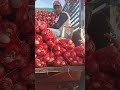 SAUDI ARABIA MHA GAROSRI MARKET 🥗🇸🇦#viralshorts #viralshort #ytviral #mini #fb