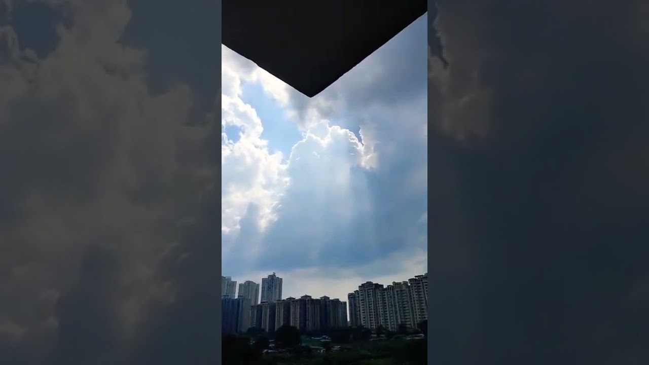 || Plant perfect#|| Plant perfect||