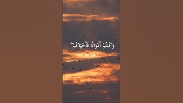 ﴿ كَيْفَ تَكْفُرُونَ بِاللَّهِ ﴾ | سورة البقرة الآية 28 | تلاوة خاشعة بصوت فارس عباد