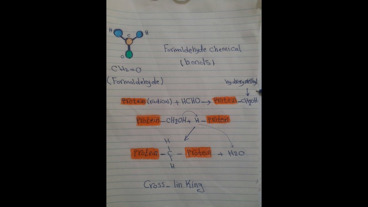 The Fixatives # انواع المثبتات النسيجية - YouTube