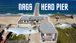 Fishing Nags Head Pier | Outer Banks NC (Mackerel, Bluefish, Whiting)