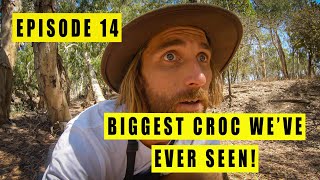 HUGE CROCODILE while fishing a secret lagoon in Cape York.