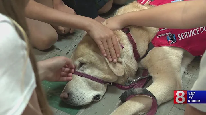 What's Right With Schools: Bristol students raise money to help man with ALS get new service dog