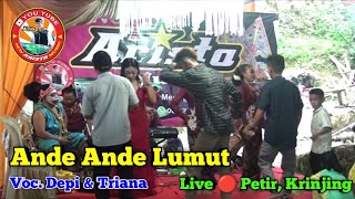 Ande Ande Lumut || Voc. Depi & Triana || New Arista Music || Banjarnegara || Live 🔴 Petir, Krinjing