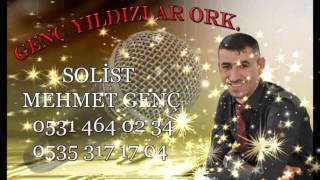 Şergi̇yye Genç Yıldızlar Orkestra Mehmet Genç 2016 Hatay Arap Dugunleri