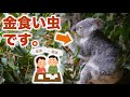 動物園の【飼育代がエグい】。。