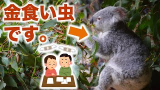 動物園の【飼育代がエグい】。。