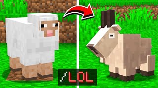 10 COMANDI SEGRETI DI MINECRAFT