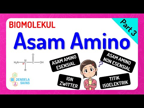 Video: Apakah Fenilamin bersifat basa?