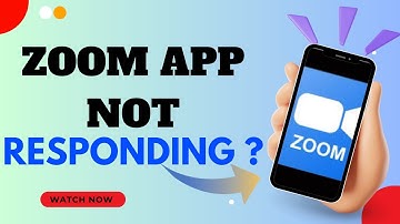 Fix Zoom App Crashing or Freezing on Windows, Mac, Android & iPhone