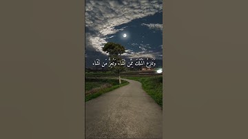 قُلِ اللَّهُمَّ مَالِكَ الْمُلْكِ || سورة آل عمران || فارس عباد