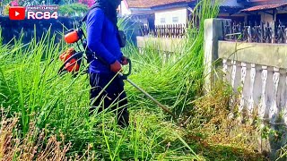 Ya Ampun Bro Kok rumput nya sampai seperti ini