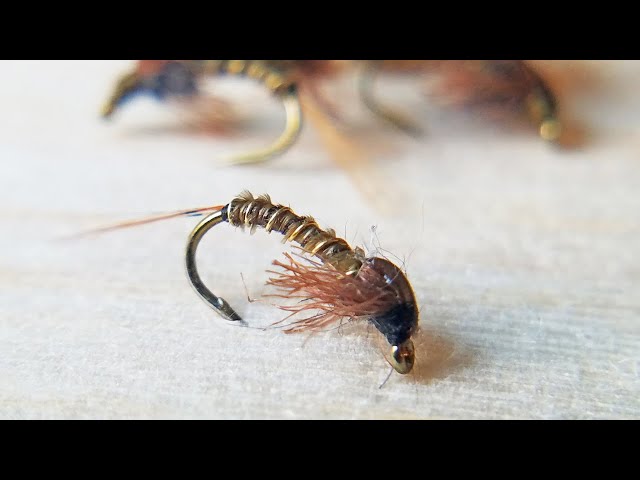 The ONE FLY EVERYONE NEEDS - Beginner or Experienced you need this - Fly  Tying a more durable PT. 