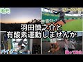 【あけましておめでとうございます】有酸素してけんこう