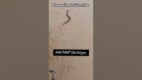 #floods #khammam #vijayawada #cyclone #nature #disaster #telangana #andrapradesh
