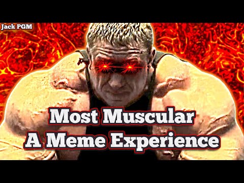 Most Muscular -